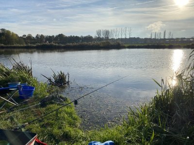 IMG_5855.jpeg IMG_5855.jpeg