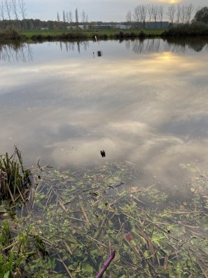 IMG_5866.jpeg IMG_5866.jpeg