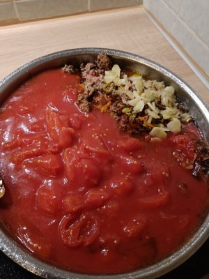 IMG20231116184124.jpg IMG20231116184124.jpg