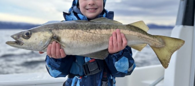 IMG_8997.jpeg IMG_8997.jpeg