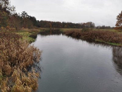 IMG-20231120-WA0000.jpg IMG-20231120-WA0000.jpg