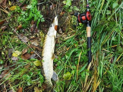 IMG-20231120-WA0002.jpg IMG-20231120-WA0002.jpg