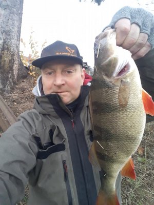 20231123_150950.jpg 20231123_150950.jpg