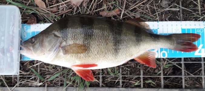 20231123_160957.jpg 20231123_160957.jpg