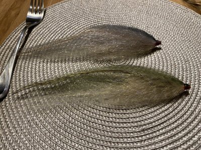 IMG_3954.jpeg IMG_3954.jpeg