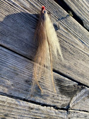 IMG_3975.jpeg IMG_3975.jpeg