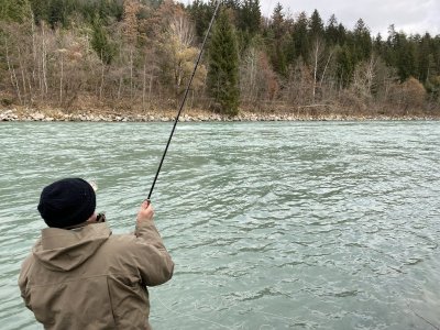 IMG_3968.jpeg IMG_3968.jpeg