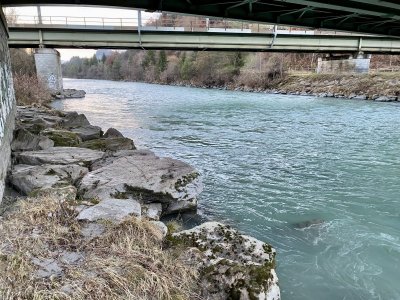 IMG_3961.jpeg IMG_3961.jpeg