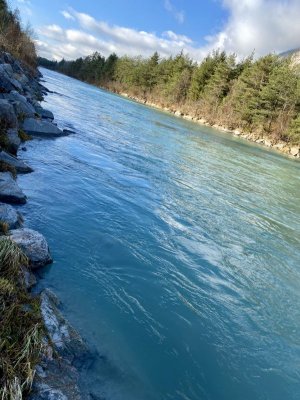 IMG_3958.jpeg IMG_3958.jpeg