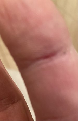 IMG_3980.jpeg IMG_3980.jpeg