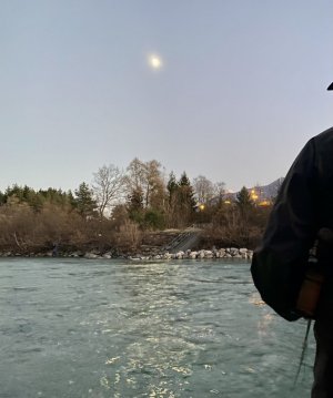 IMG_3976.jpeg IMG_3976.jpeg