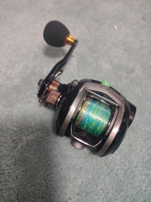 IMG_20231123_183642.jpg IMG_20231123_183642.jpg