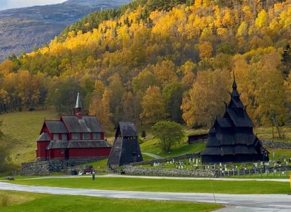 IMG_1169.jpg IMG_1169.jpg