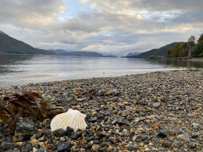 IMG_1212.jpg IMG_1212.jpg