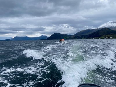 IMG_1288.jpg IMG_1288.jpg