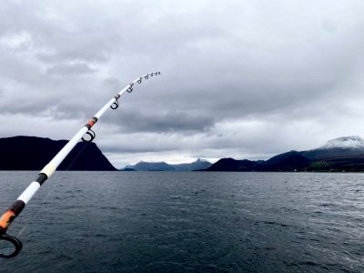 IMG_1290.jpg IMG_1290.jpg