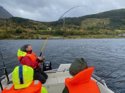 IMG_1424.jpg IMG_1424.jpg