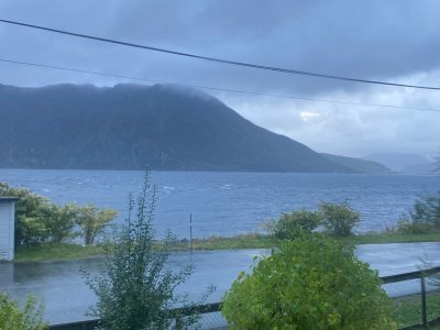 IMG_1441.jpg IMG_1441.jpg