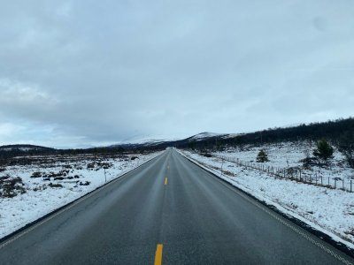 IMG_1619.jpg IMG_1619.jpg