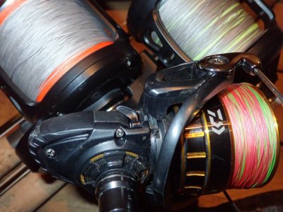 PC050407.JPG PC050407.JPG