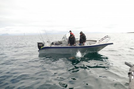 P3920281.JPG P3920281.JPG