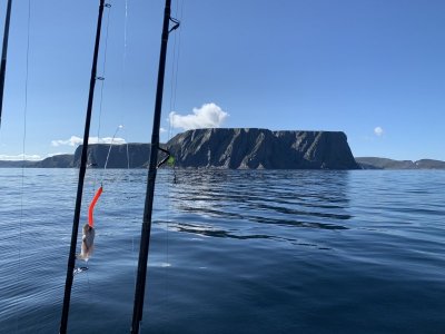 angelreisen_halver_skarsvag_08-22053.jpg angelreisen_halver_skarsvag_08-22053.jpg