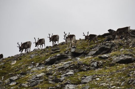 angelreisen_halver_skarsvag_08-220222.jpg angelreisen_halver_skarsvag_08-220222.jpg