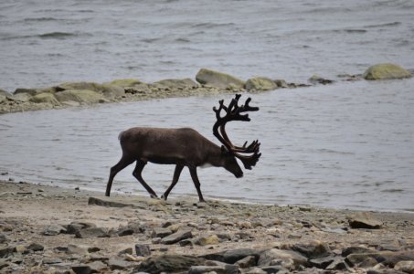 angelreisen_halver_skarsvag_08-22010.jpg angelreisen_halver_skarsvag_08-22010.jpg