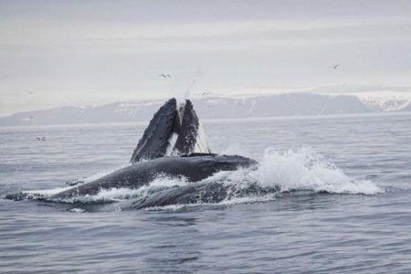 346871600_245093714863601_4827801337735541431_n.jpg 346871600_245093714863601_4827801337735541431_n.jpg