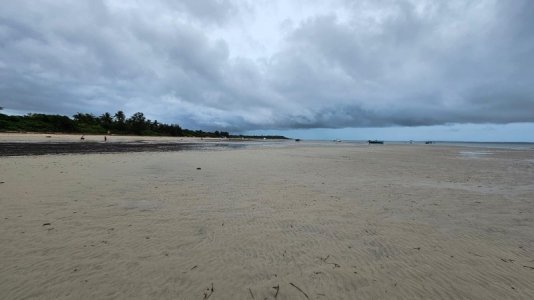 IMG-20231228-WA0031.jpg IMG-20231228-WA0031.jpg