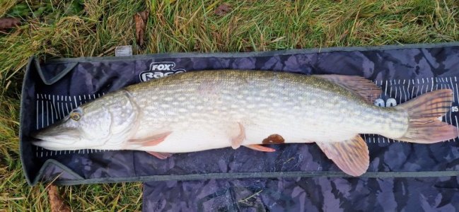 20231229_153039.jpg 20231229_153039.jpg