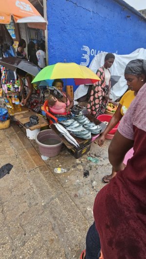 20231230_135549.jpg 20231230_135549.jpg