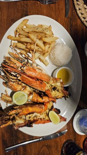 20240101_194424.jpg 20240101_194424.jpg