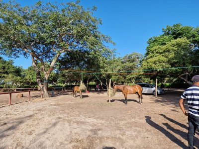 IMG-20240103-WA0119.jpg IMG-20240103-WA0119.jpg