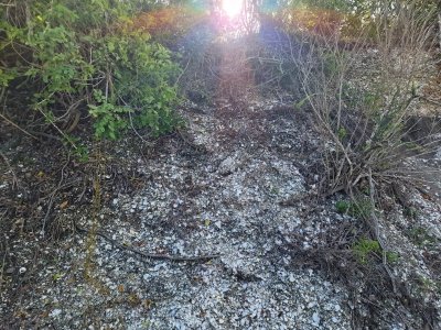 IMG-20240103-WA0099.jpg IMG-20240103-WA0099.jpg