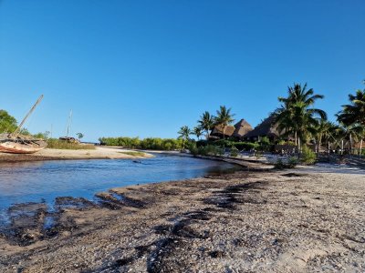 IMG-20240103-WA0067.jpg IMG-20240103-WA0067.jpg