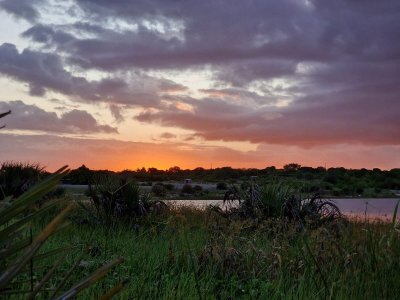 IMG-20240103-WA0043.jpg IMG-20240103-WA0043.jpg