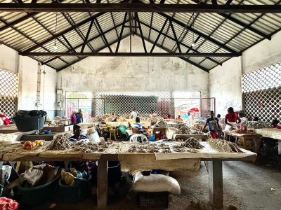 IMG-20240104-WA0017.jpg IMG-20240104-WA0017.jpg