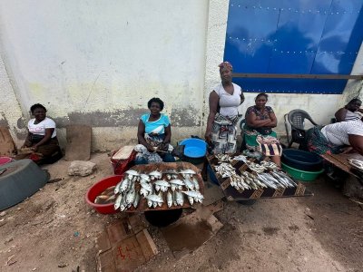 IMG-20240104-WA0019.jpg IMG-20240104-WA0019.jpg