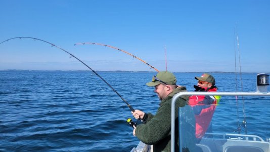 IMG-20230522-WA0020.jpg IMG-20230522-WA0020.jpg