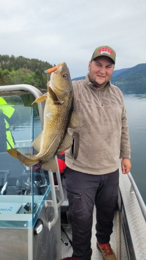 IMG-20230521-WA0003.jpg IMG-20230521-WA0003.jpg