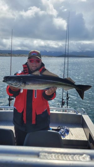 IMG-20230523-WA0001.jpg IMG-20230523-WA0001.jpg