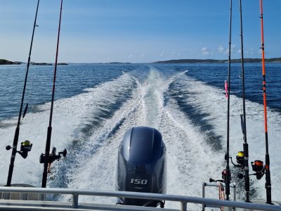 20230523_160250.jpg 20230523_160250.jpg