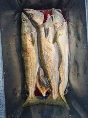 20230525_145734.jpg 20230525_145734.jpg