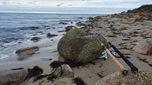 20240105_110958.jpg 20240105_110958.jpg