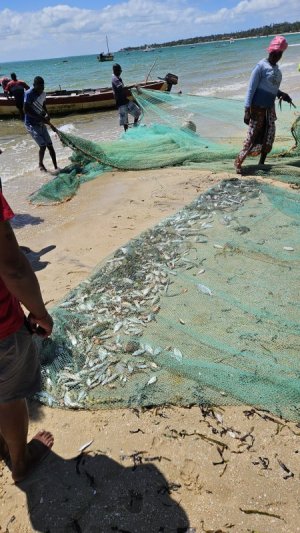 20240105_095740.jpg 20240105_095740.jpg