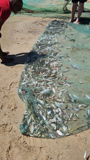 20240105_095751.jpg 20240105_095751.jpg