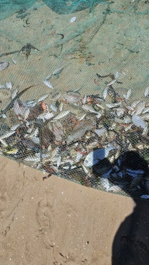 20240105_095829.jpg 20240105_095829.jpg