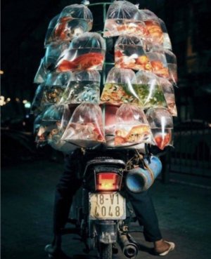 IMG_7759.jpeg IMG_7759.jpeg