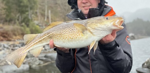 IMG_9576.jpeg IMG_9576.jpeg